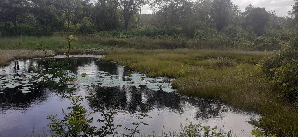 Sri Lanka Khema Bhumi Terrain Lac 20240726 Lac