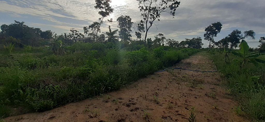 Sri Lanka Khema Bhumi Terrain Lac 20241019 Sanglier